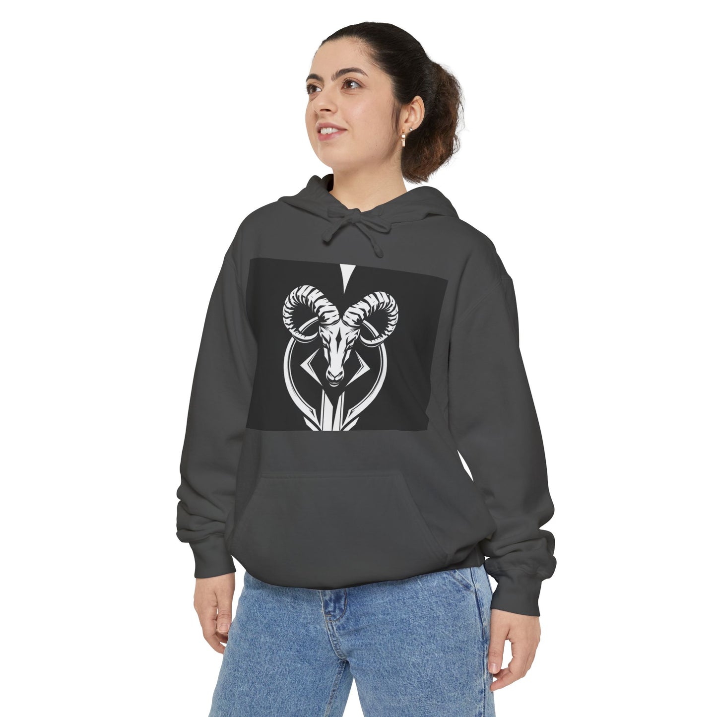 Aries Zodiac Unisex Hoodie