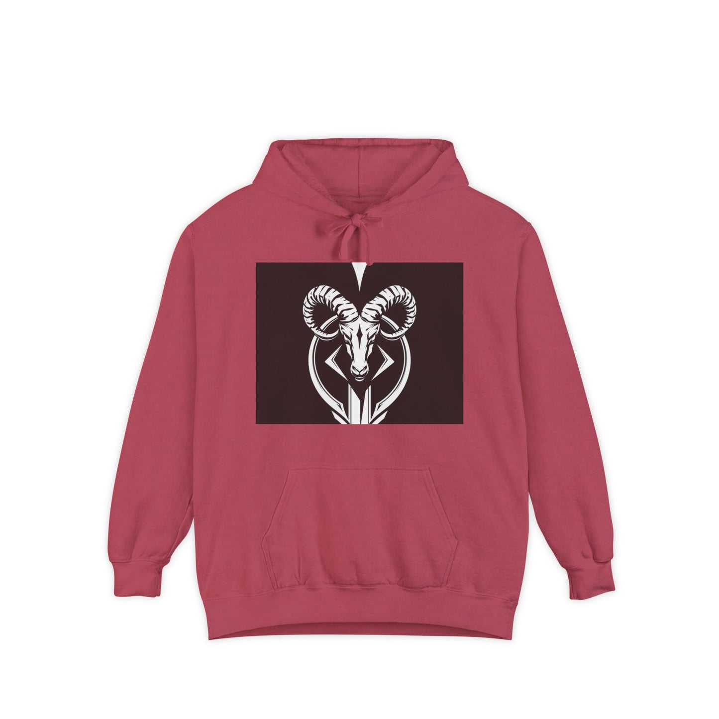 Aries Zodiac Unisex Hoodie