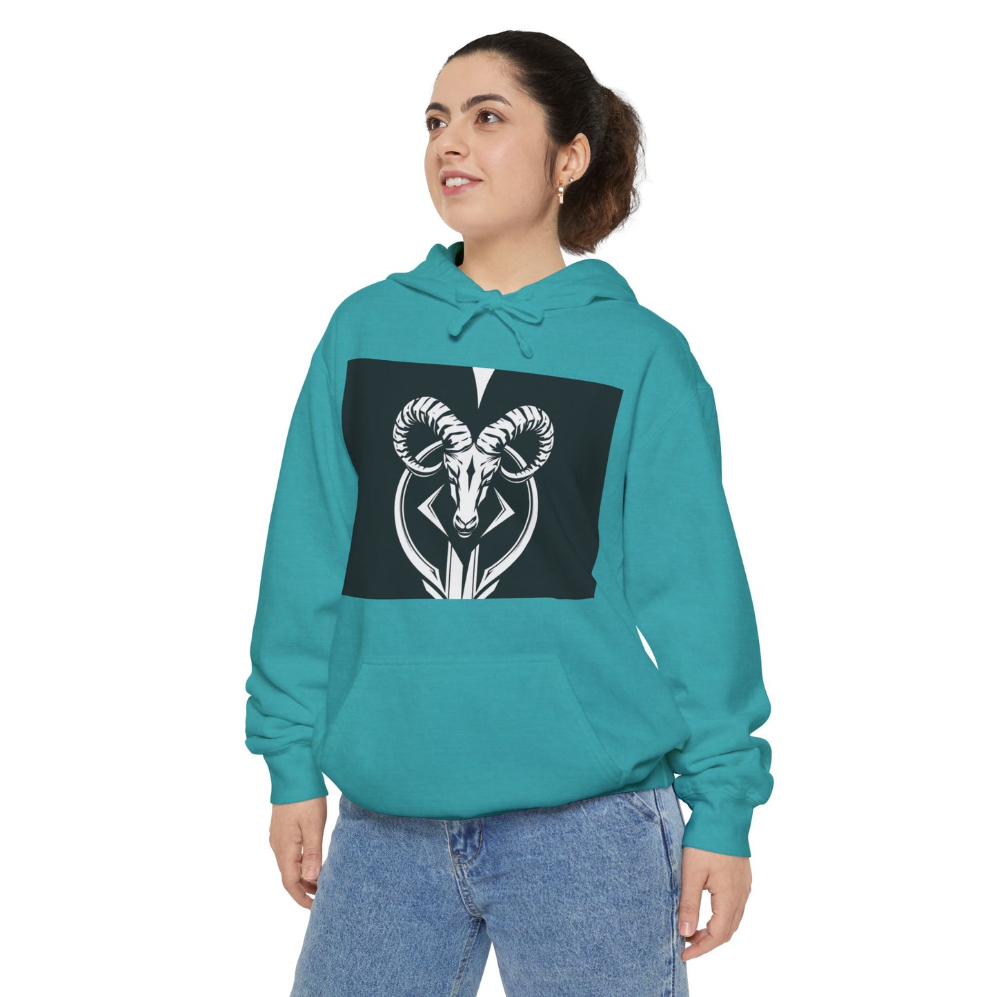 Aries Zodiac Unisex Hoodie