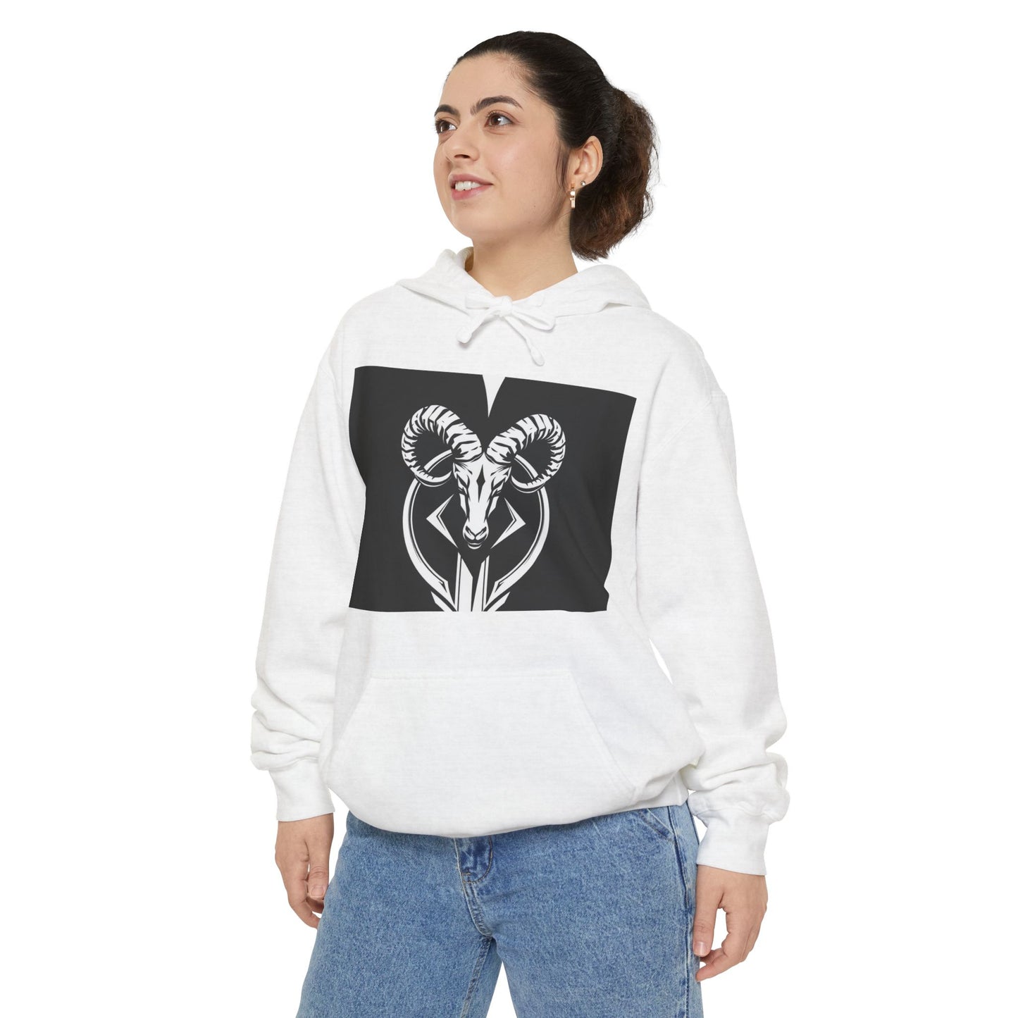 Aries Zodiac Unisex Hoodie