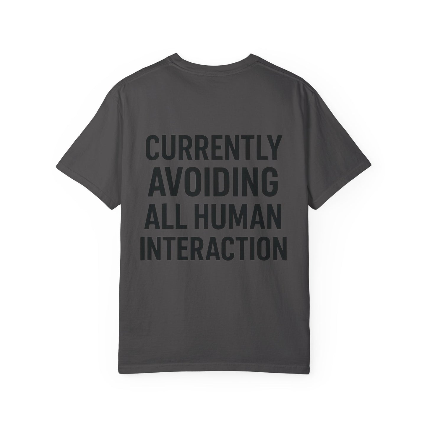 Currently Avoiding All Human Interaction – Funny Minimalist Unisex T-Shirt